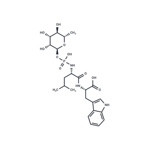 化合物 Phosphoramidon|T20541|TargetMol