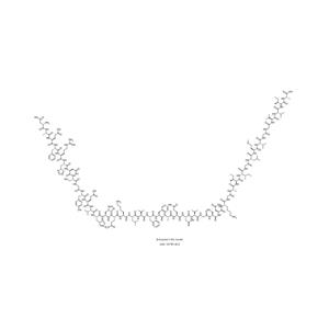 β-Amyloid (1-42), human,β-Amyloid (1-42), human