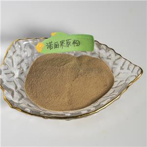 诺丽果粉,Morinda citrifolia pulveratum