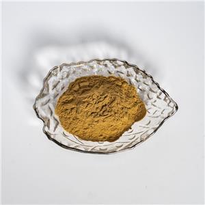 人參提取物,Extractum Ginseng radix