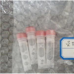 荧光素酶,Luciferase from Bacteria