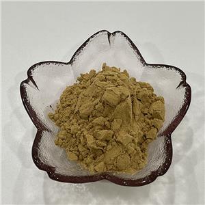鹿茸提取物,Extractum Cervi cornu pantotrichum