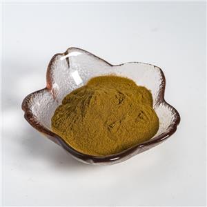 桑葉提取物,Extractum Mori albae folium