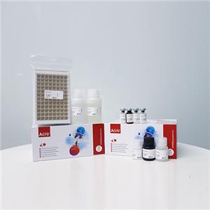 整合素αVβ5蛋白,Integrin αVβ5