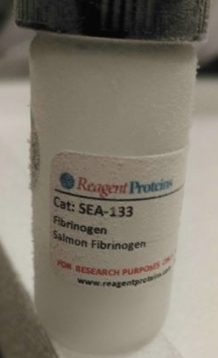 Sea Run Holdings,SEA
