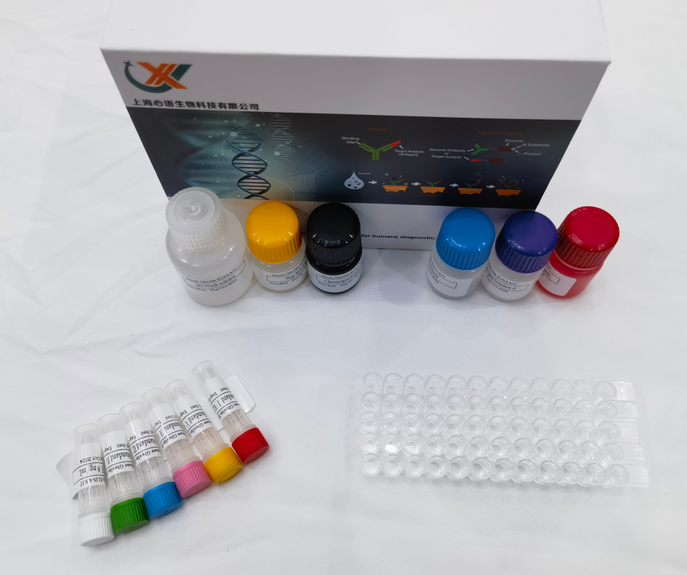 免費代測 小鼠性激素結(jié)合球蛋白 (SHBG) ELISA試劑盒,Mouse SHBG(Sex Hormone-Binding Globulin) ELISA Kit