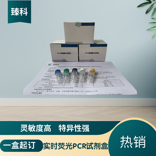 禽流感病毒H5N8（AIV-H5N8）PCR核酸檢測試劑盒