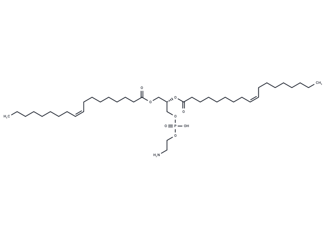 磷脂酰乙醇胺,Glycerophospholipids, cephalins