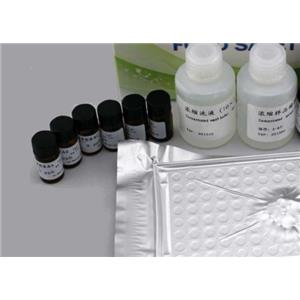 乙型肝炎病毒cccDNA 探針法熒光定量PCR試劑盒