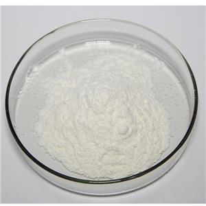 三七總皂苷,Notoginseng Total Saponins