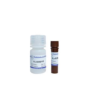 NLuc熒光素酶檢測(cè)試劑