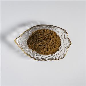 假馬齒莧提取物,Extractum Bacopae monnieri