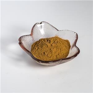 桔梗提取物,Extractum Platycodi grandiflori