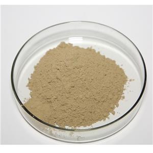 科羅索酸,Corosolic Acid