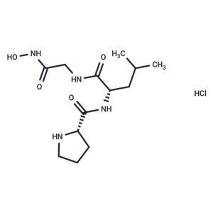 化合物 Pro-Leu-Gly-NHOH hydrochloride|T87249|TargetMol