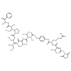 化合物 SuO-Val-Cit-PAB-MMAE|T18736|TargetMol