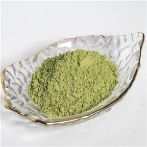 辣木葉生粉,moringa leaf raw powder