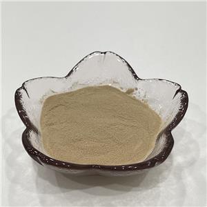 白豆蔻提取物,Extractum Amomi cardamomi