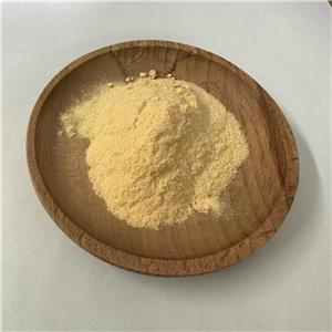 木瓜凍干粉,Papaya freeze-dried powder