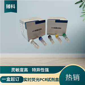 小反芻獸疫疫苗株野毒株（PPR-V PPR-W）PCR檢測試劑盒