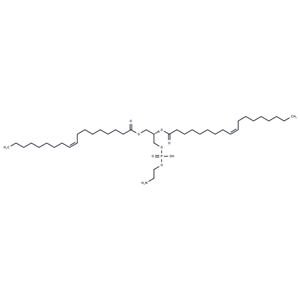 磷脂酰乙醇胺,Glycerophospholipids, cephalins