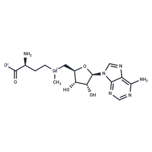 化合物 Adenosylselenomethionine|T29654|TargetMol