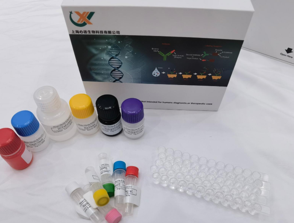 免費代測 小鼠I型前膠原C端肽 (PICP) ELISA試劑盒,Mouse PICP(Procollagen I C-terminal Propeptide) ELISA Kit