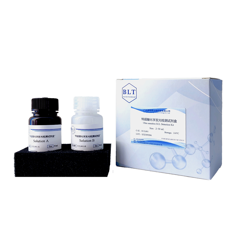 特超敏化學發(fā)光檢測試劑盒,Ultra sensitive ECL Detection Kit