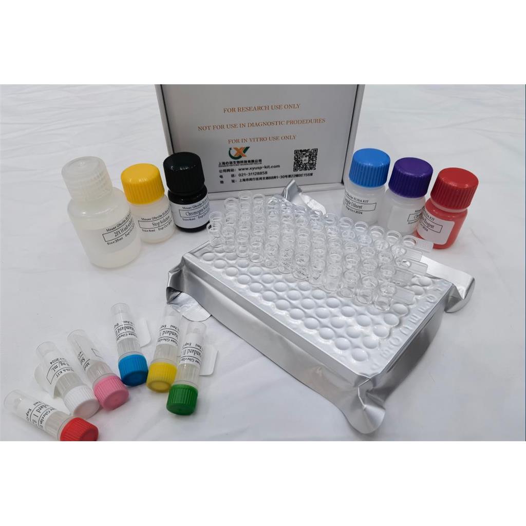 大鼠前脑啡肽(PENK)ELISA试剂盒,Rat Penk (Proenkephalin-A) QuickTest ELISA Kit