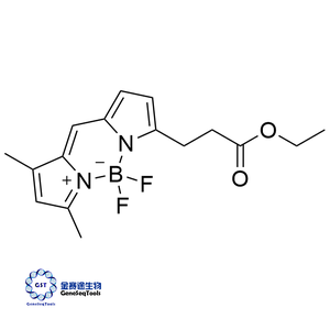 3-BODIPY-丙酸乙酯,3-Bodipy-propanoic Acid Ethyl Ester