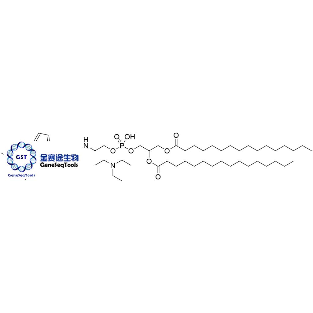 磷脂熒光探針,Phospholipid Fluorescent Probe;BODIPY FL-DHPE