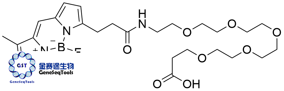 BODIPY FL-PEG5-酸,BODIPY FL-PEG5-Acid