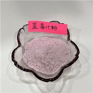 藍(lán)莓汁粉,blueberry juice powder