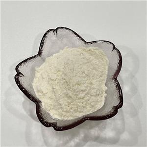 檸檬汁粉,lemon juice powder