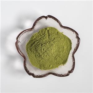 香菜原粉,coriander original powder