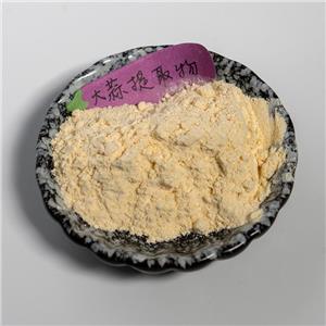 大蒜提取物,garlic extract