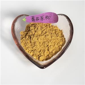 番茄原粉,tomato original powder