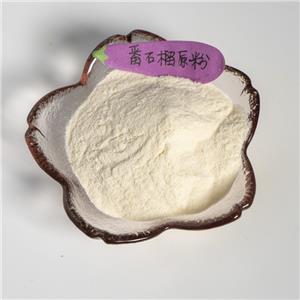 番石榴原粉,Psidium guajava original powder