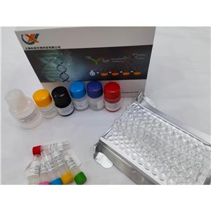 大鼠MAS相關(guān)G蛋白偶聯(lián)受體b(MAS-R)ELISA試劑盒,Rat MAS-R (Mas-related G protein-coupled receptor b) QuickTest ELISA Kit