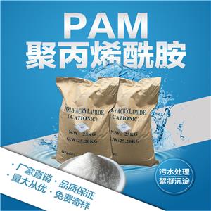 山西大同釀酒廠專用陽離子聚丙烯酰胺水處理藥劑 絮凝沉淀效果好 嵩陽廠家直供