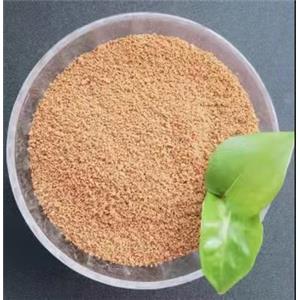 山西大同自來(lái)水廠專用水處理藥劑聚合氯化鋁含量28%-30% 嵩陽(yáng)凈水廠家直供