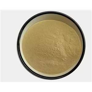 水蛭素 800ATU/g 多規(guī)格 菲牛蛭提取 菲水蛭凍干粉
