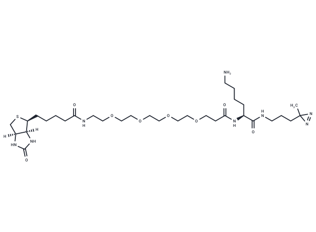 化合物 Biotin-probe 1,Biotin-probe 1