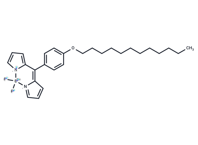 化合物 BODIPY-C12,BODIPY-C12