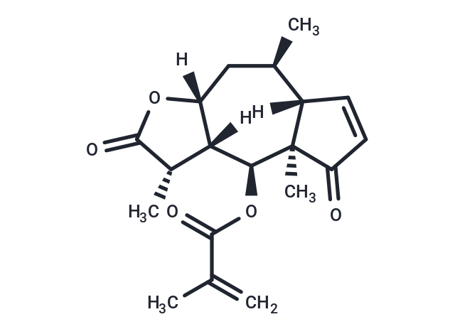山金車內(nèi)酯 D,Arnicolide D