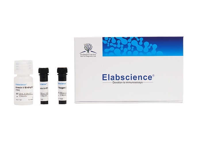 PE 抗小鼠/大鼠 CD29抗體[HMβ1-1]Elabscience流式抗體-E-AB-F1309D,PE Anti-Mouse/Rat CD29 Antibody[HMβ1-1