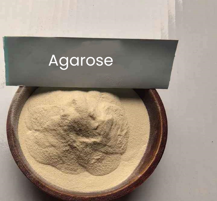瓊脂糖,Agarose
