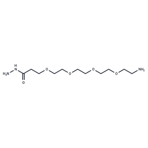 化合物 H2N-PEG4-Hydrazide,H2N-PEG4-Hydrazide