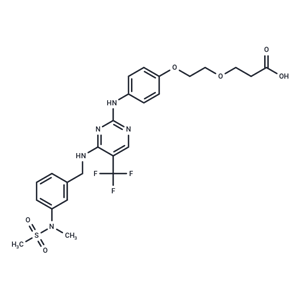化合物 FAK ligand-Linker Conjugate 1|T17943|TargetMol