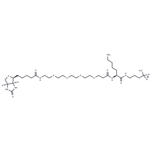 化合物 Biotin-probe 1|T18926|TargetMol